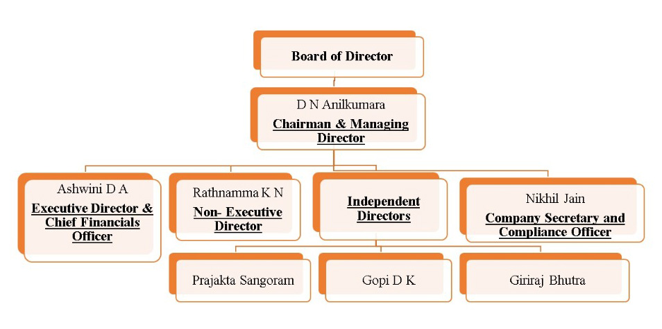 board-director-v